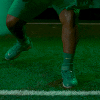 College Football GIF by GoDucks