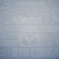 Brigham Young Byu Baseball GIF by BYU Cougars