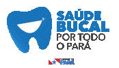 Estado Do Para Sticker by SECOMPA