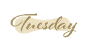 Tuesday Dienstag Sticker