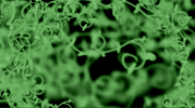 kyle hill batman GIF by Because Science