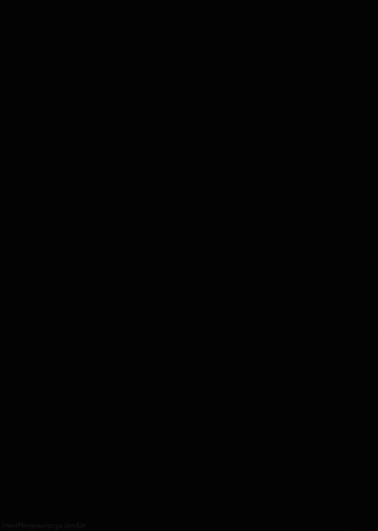 ladybug insect GIF by Head Like an Orange