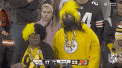 Pittsburgh Steelers Football GIF by NFL