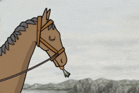 Horse Foodie GIF