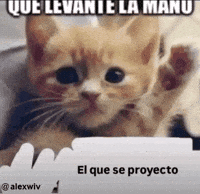 Alextekah GIF