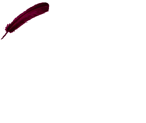 Paula Brookes Sticker by Timeless Aesthetics