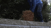 Seed Hay GIF by JC Property Professionals