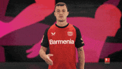 Bayer Leverkusen B04 GIF by Bundesliga