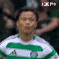 Flag Day Hoops GIF by Celtic Football Club