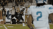 ucfknights football ucf knights GIF