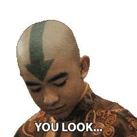 You Look Nice Avatar The Last Airbender Sticker by NETFLIX