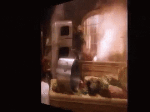 dinosaurs not the momma GIF