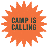 Ccsummercamp Sticker by Create Cultivate