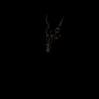 loschka clockwise loschka GIF