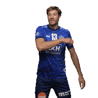 Luneburg Sticker by Volleyball Bundesliga