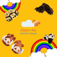RFAD slipper day 2023 GIF