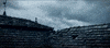 GIF by Assassin's Creed