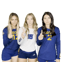 RegisVolleyball volleyball hannah mara kennedy Sticker