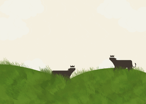 Good Morning Field GIF by Primebeef Co.