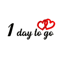 1Day 1Daytogo Sticker by Mascot Technology Solutions