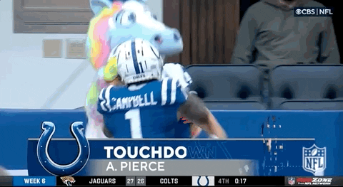 Indianapolis Colts Football GIF by NFL