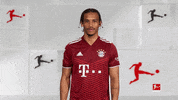 No Way Omg GIF by Bundesliga