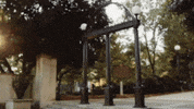 Uga Career Outcomes GIF by University of Georgia