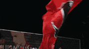 wswanderersfc wanderers western sydney wanderers a-league western sydney GIF