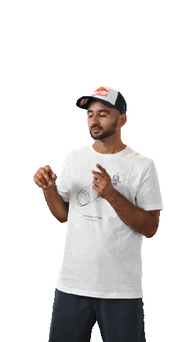 Gives You Wiiings Hockey Team Sticker by Red Bull