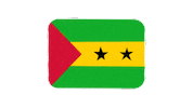 emojivid emoji flag emojivid saotomeprincipe Sticker