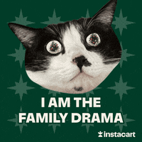 Family Drama Christmas GIF by Instacart