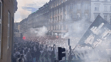 Fans March GIF by F.C. København