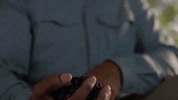 Cosmospossibleworlds GIF by cosmosontv