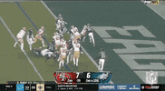 National Football League GIF by NFL