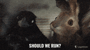 LegalShield run hide caught guilty GIF