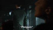mad city fox GIF by Gotham
