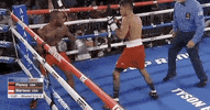 toprank fight boxing fighting fighters GIF