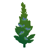 AmbergSulzbacherLand nature bayern bavaria natur Sticker