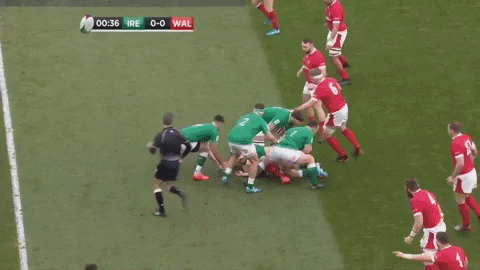 rugby_vids giphyupload GIF
