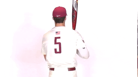 Baseball Roll Pards GIF by Lafayette Leopards