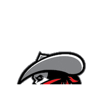 Bandit Sticker by Women's National Football Conference