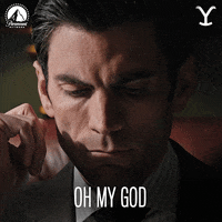 Oh My God Omg GIF by Yellowstone
