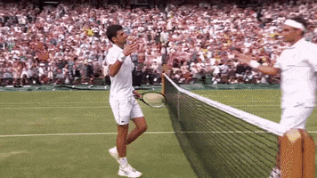 sport tennis GIF by Wimbledon
