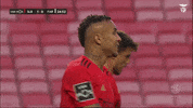 Sl Benfica Smile GIF by Sport Lisboa e Benfica