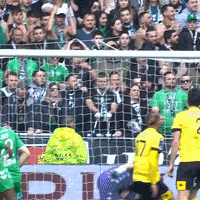 France Rage GIF by AS Saint-Étienne