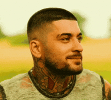 zaynmalik_ zayn malik zayn zquad GIF