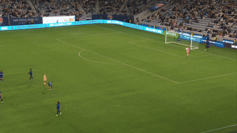 2025 GIF by National Women's Soccer League