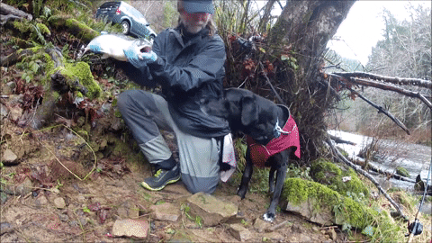 rogeremigh giphygifmaker GIF