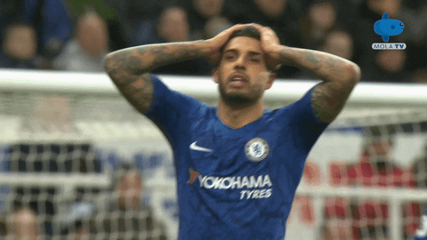 GIF by MolaTV