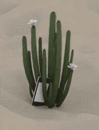 GIF by Sasha Katz